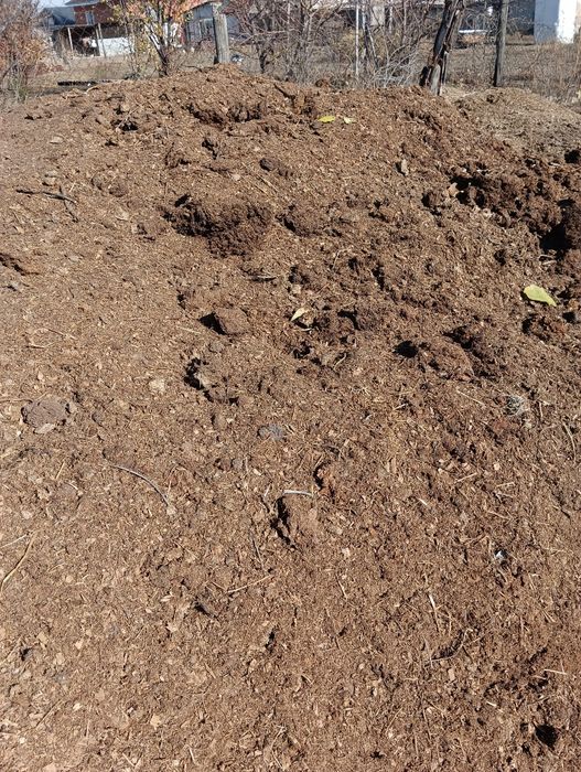 Отдам  конский навоз!