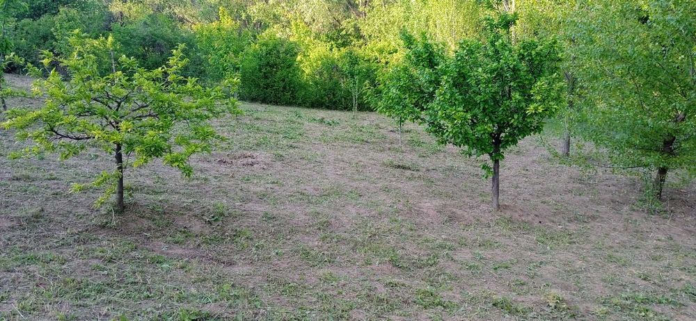 Продава се Къща в Видин, Акджамия - 56 кв.м за 1822 €/кв.м - Снимка #5