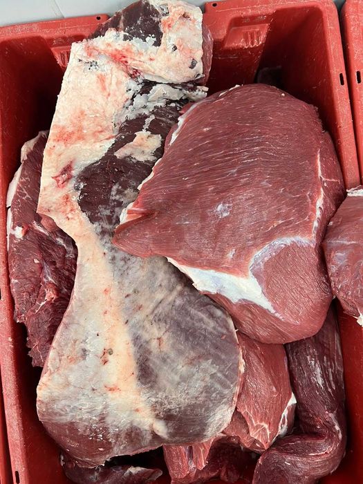 мясо халал, блочная говядина