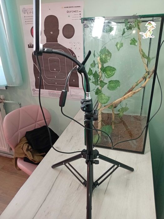 Осветление затерариум за бюро