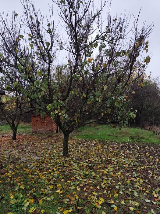 Продава се Къща в с. Есен, Област Бургас - 57 кв.м за 224 €/кв.м - Снимка #6