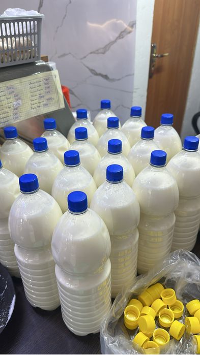 Кымыз шубат таза