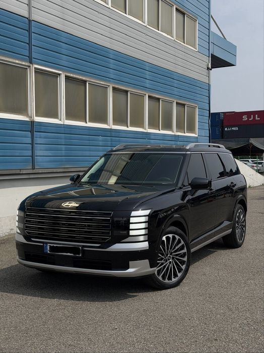 Hyundai Palisade calligraphy
