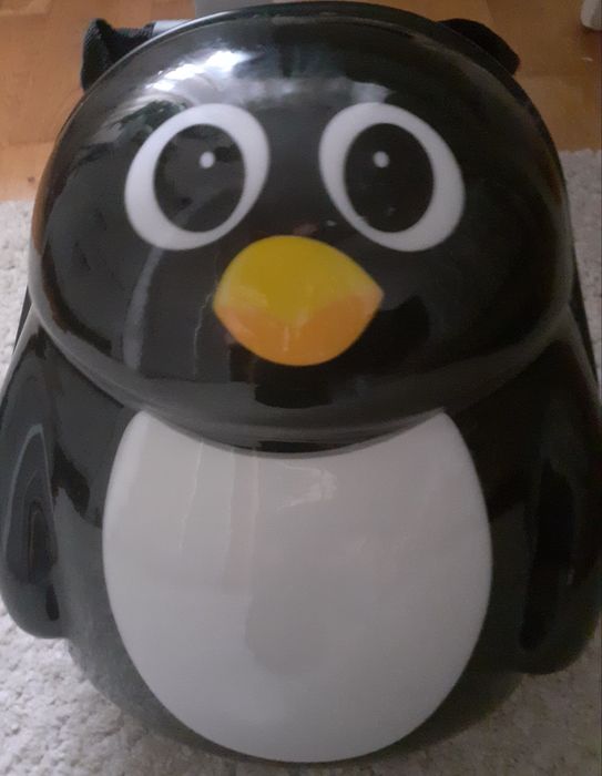 Ghoozdan/rucsac copii