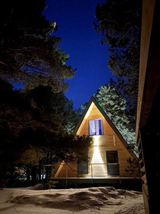 Строительство  какркасного дома