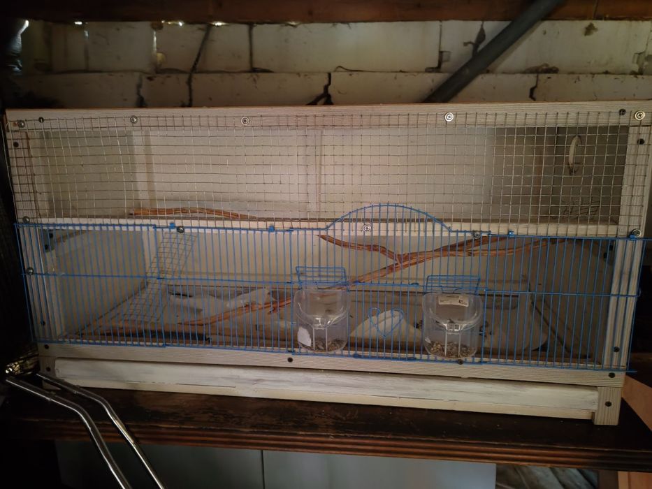 Vând cușca pentru Nimfe sau papagalii