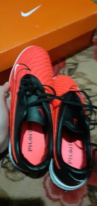 Сараканошка бар нови