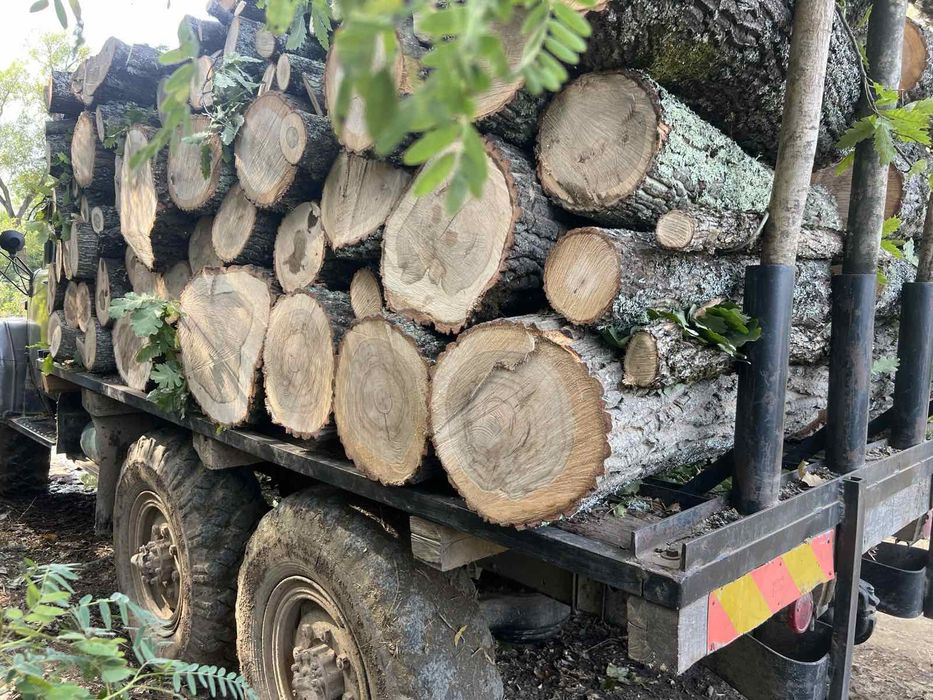 Дърва за огрев! Топла зима..