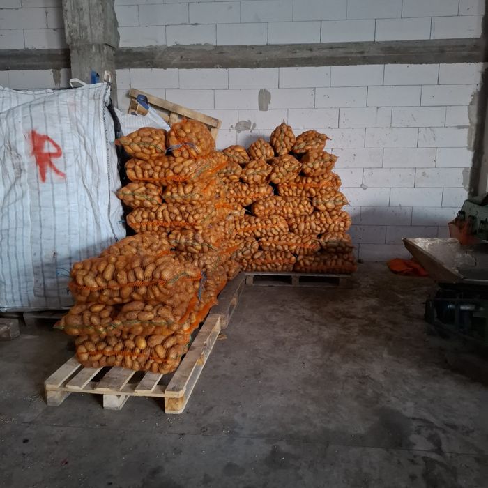 Cartofi albi si rosi de vanzare