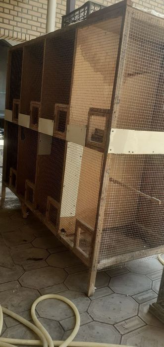 100 % гарантия берилади тозза