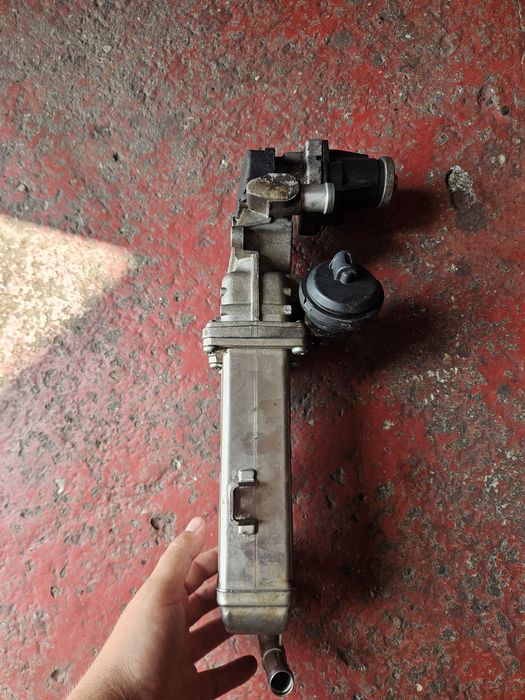 Egr golf 6 1.6 tdi