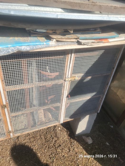 Клетка для птиц и кроликов