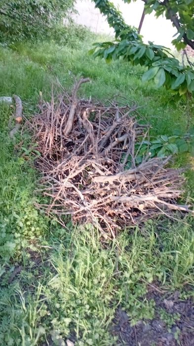 Тегін!!! Жағатын дайын отын!!!