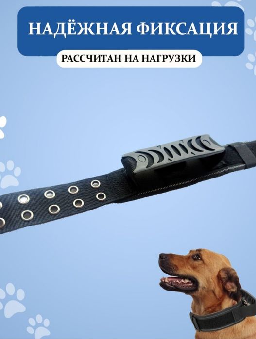 Ошейник размер XL