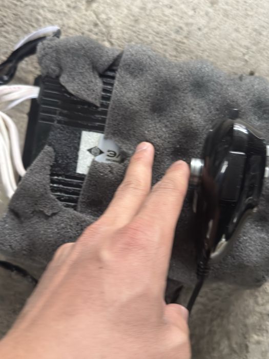 Serena elena smerch arginal