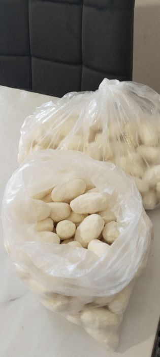 Курт.    сатамын