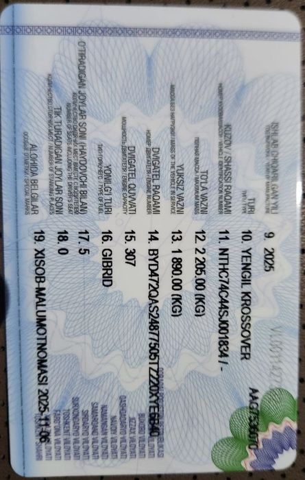 BYD CHAMPION GIBRID 2025, 8 000 km - ideal!