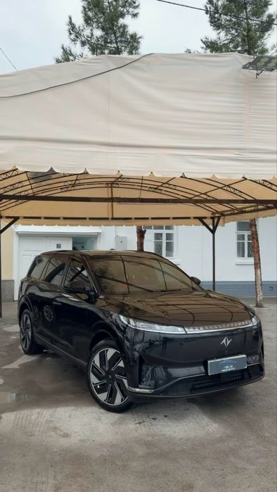 Dongfeng 008 max 2024