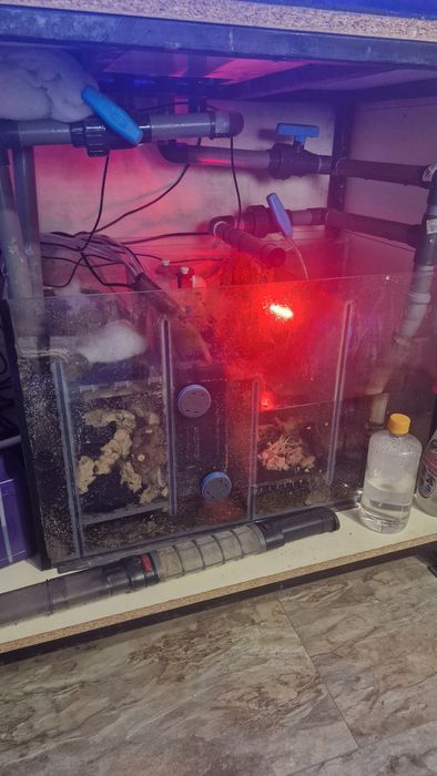 Соленоводен аквариум