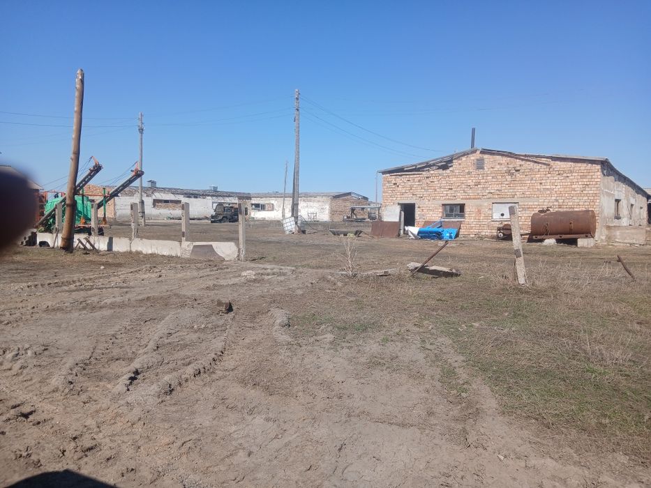 Откорм база хозяйство