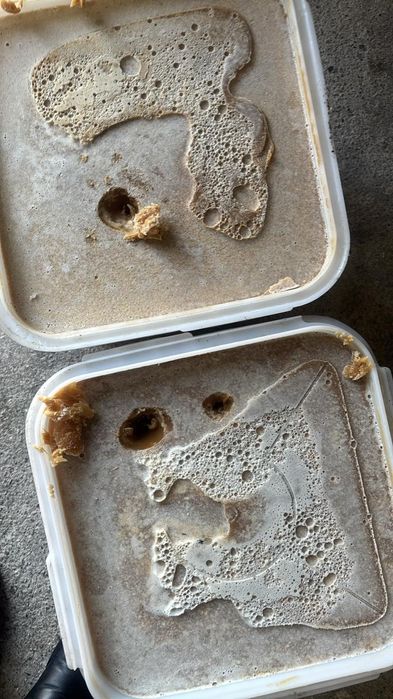 Мёд натуральный 100%