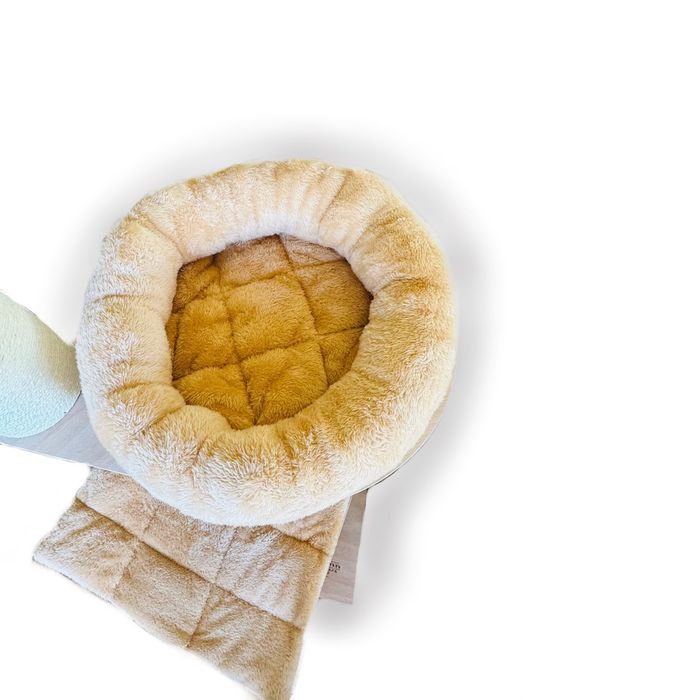 Голяма котешка катерушка - Мейн Куун