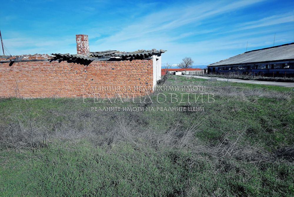Продава се Парцел в с. Маноле, Област Пловдив - 9628 кв.м за 16 €/кв.м - Снимка #5