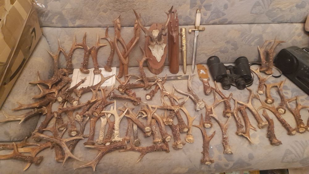 Cornite de caprior..