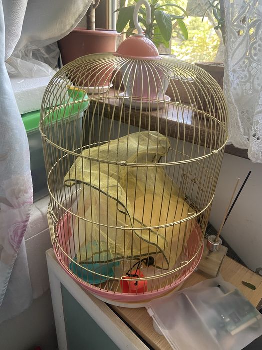 Продам  клетку с купелью, сеткой, гнездом