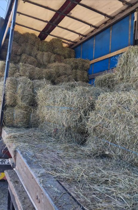 Baloti de fan, fan balotat