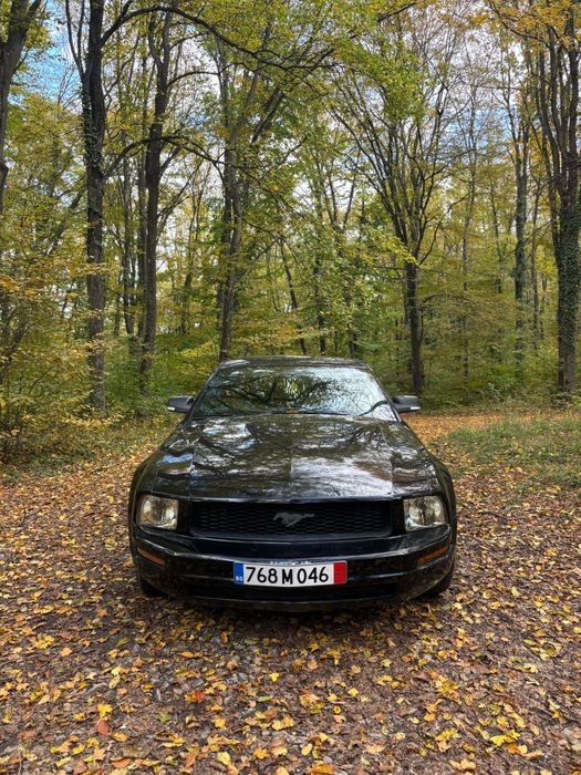 Форт Мустанк 4.0  V6