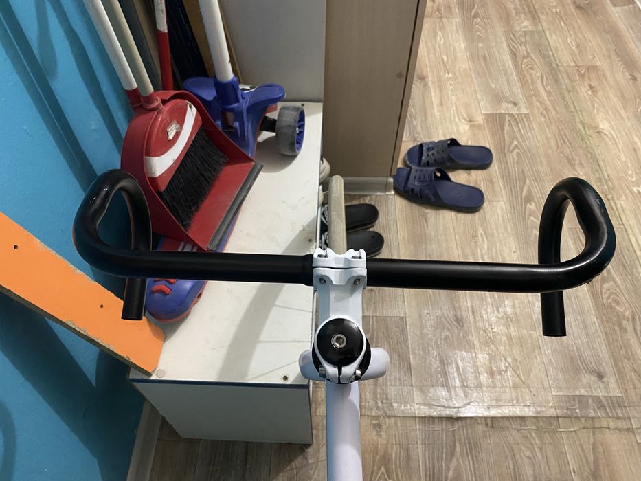 Singlespeed Axion Ghost
