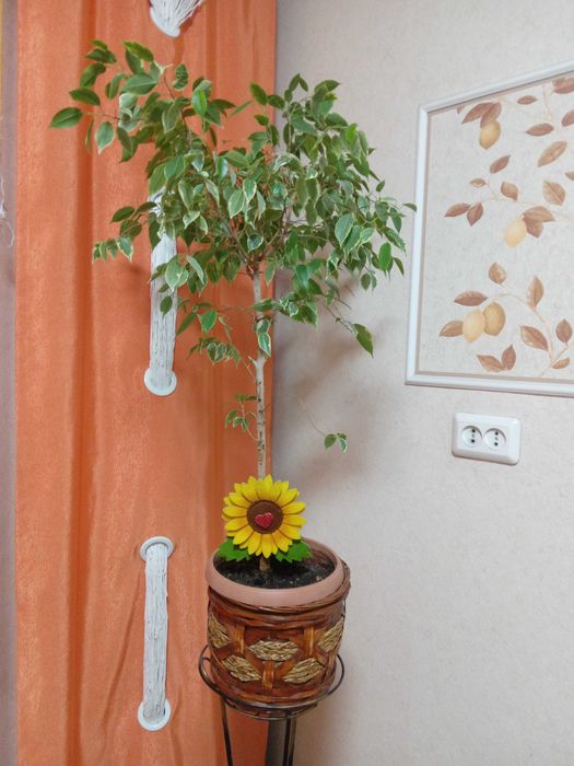 Продам кованые подставки