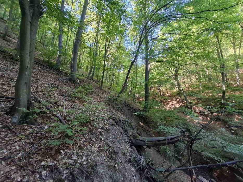 Продава се Парцел в София, 7-ми 11-ти километър - 1200 кв.м за 8 €/кв.м - Снимка #3