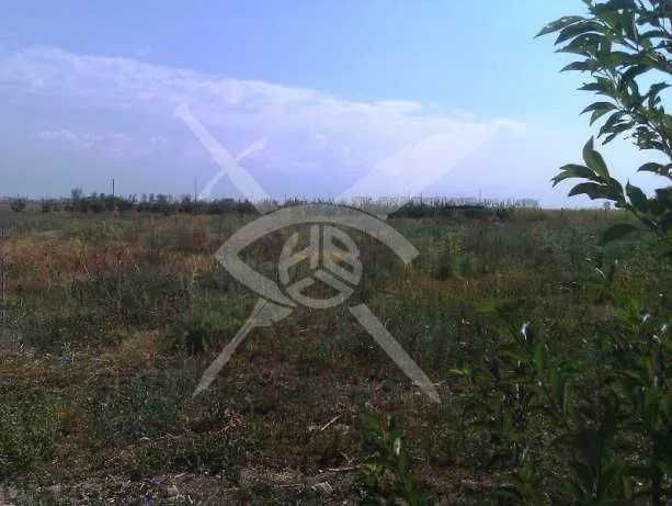 Земеделска земя в Раковски!