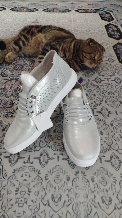 Новые отдам на 3000