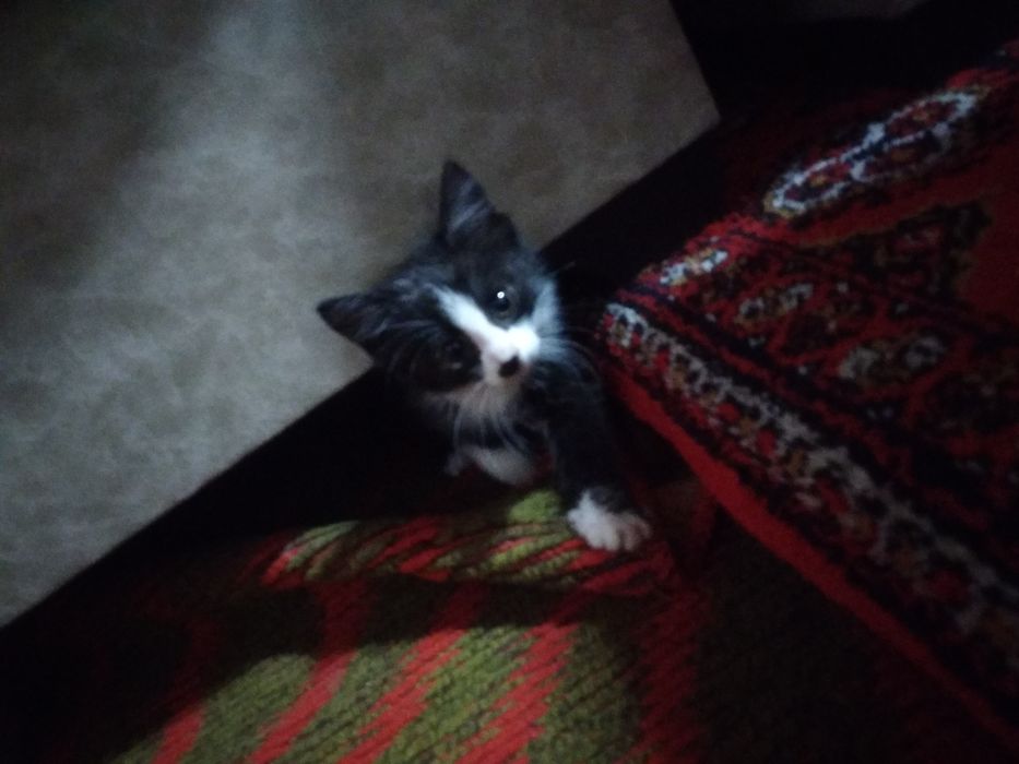 Например своей ценой