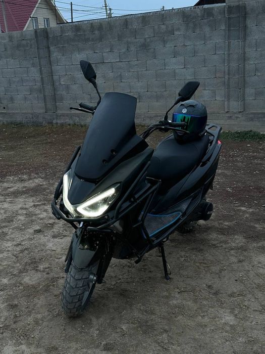 Даумет нету шут шарапина ест