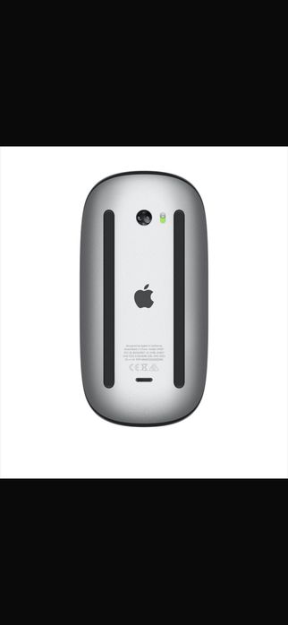 Apple черна мишка