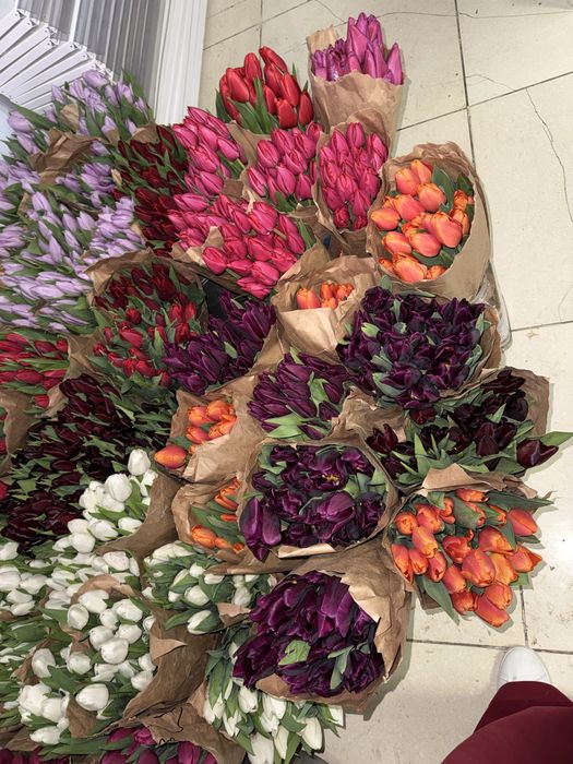 Тюльпаны по 650тг