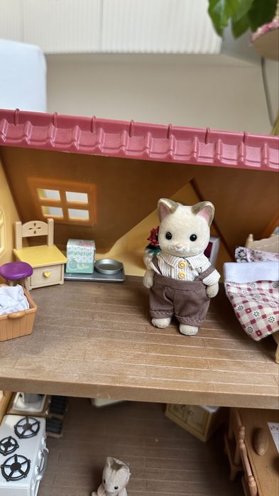 Сильвиани дом sylviniani