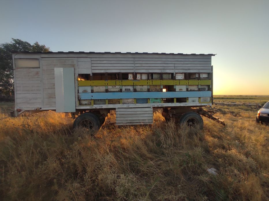 Прицеп пчеловодный, пчелопавильон