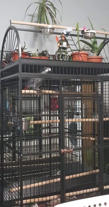 Продавам голяма клетка