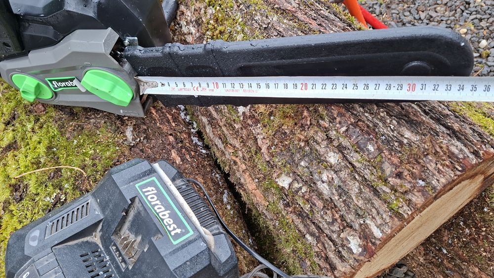 Drujba electrica cu acumulator Florabest