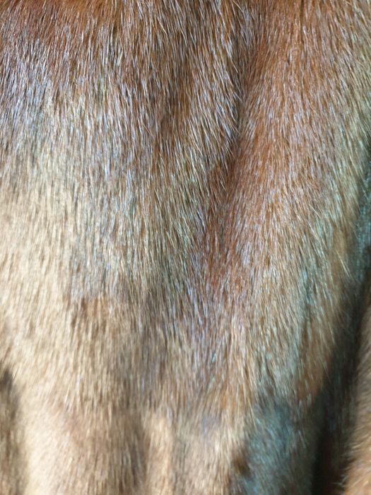 Шуба     норковая