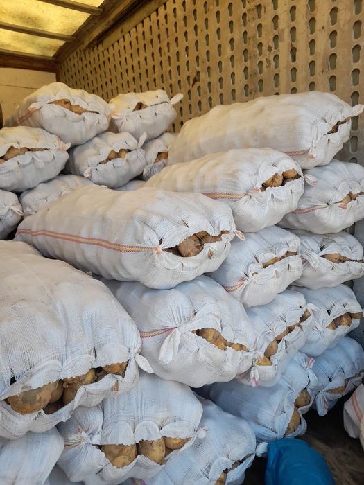 Cartofi  noi de vânzare de consum și pentru animale