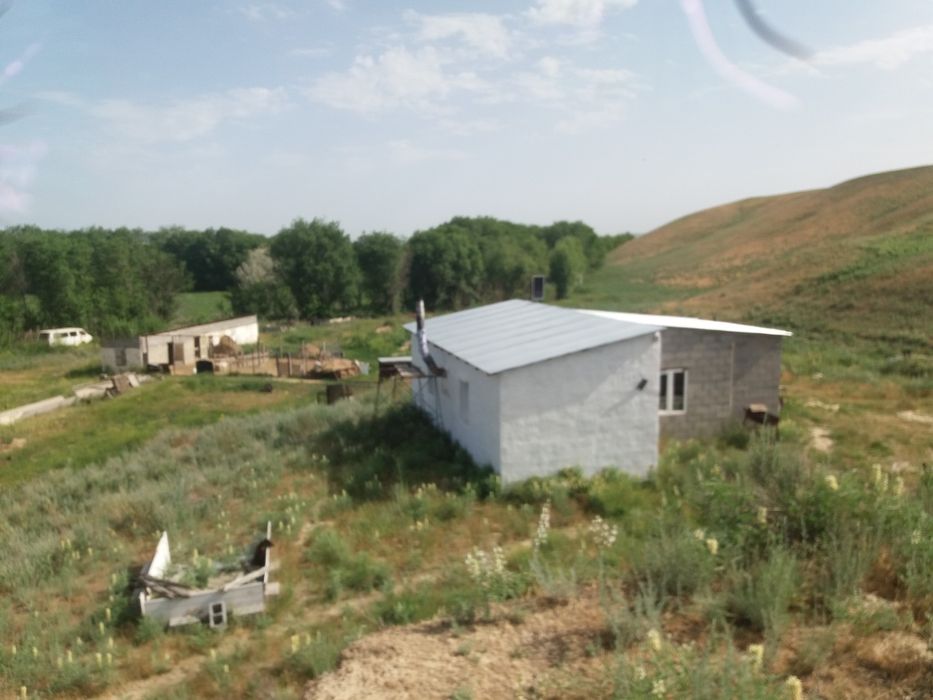 Продам крестьянское хозяйство