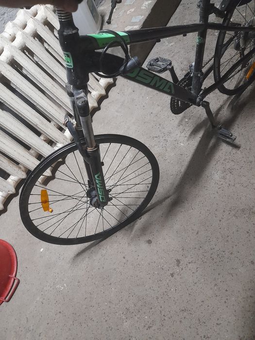 Жігітер велик сатылады