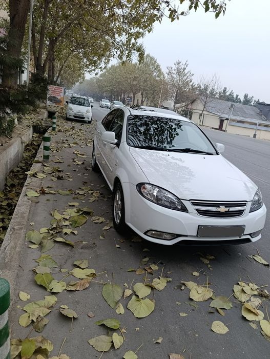 Laseti jentira qilingan 1.6 mator oldi orqa butun