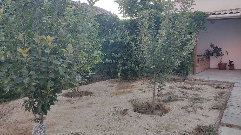 Ақтау қызыл-төбе  балауса көшесі